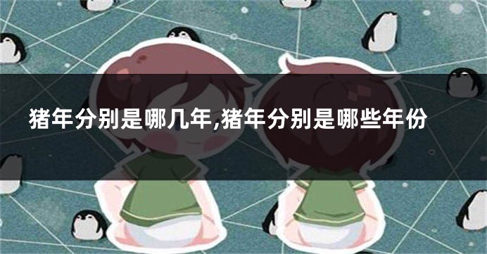 猪年分别是哪几年,猪年分别是哪些年份