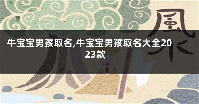 牛宝宝男孩取名,牛宝宝男孩取名大全2023款