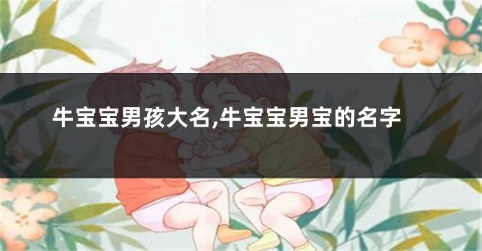 牛宝宝男孩大名,牛宝宝男宝的名字