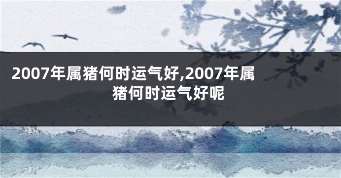 2007年属猪何时运气好,2007年属猪何时运气好呢