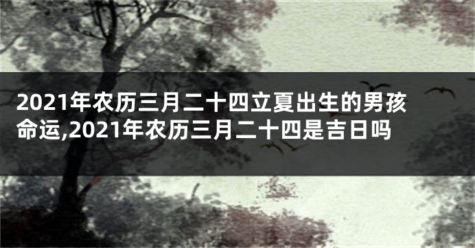 2021年农历三月二十四立夏出生的男孩命运,2021年农历三月二十四是吉日吗