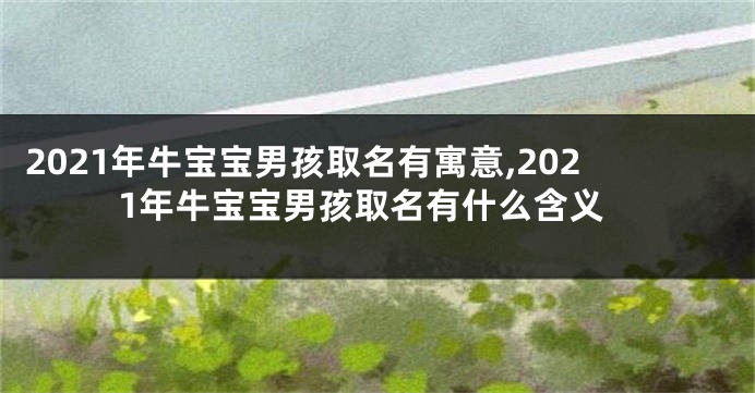 2021年牛宝宝男孩取名有寓意,2021年牛宝宝男孩取名有什么含义