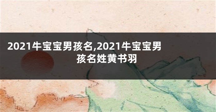2021牛宝宝男孩名,2021牛宝宝男孩名姓黄书羽