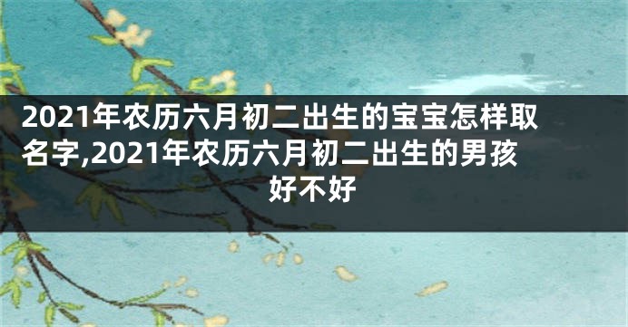 2021年农历六月初二出生的宝宝怎样取名字,2021年农历六月初二出生的男孩好不好