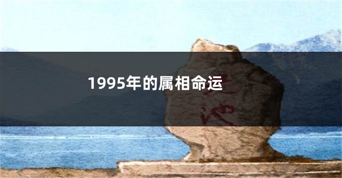 1995年的属相命运