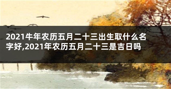 2021牛年农历五月二十三出生取什么名字好,2021年农历五月二十三是吉日吗