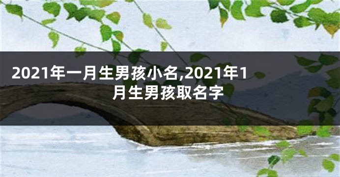 2021年一月生男孩小名,2021年1月生男孩取名字