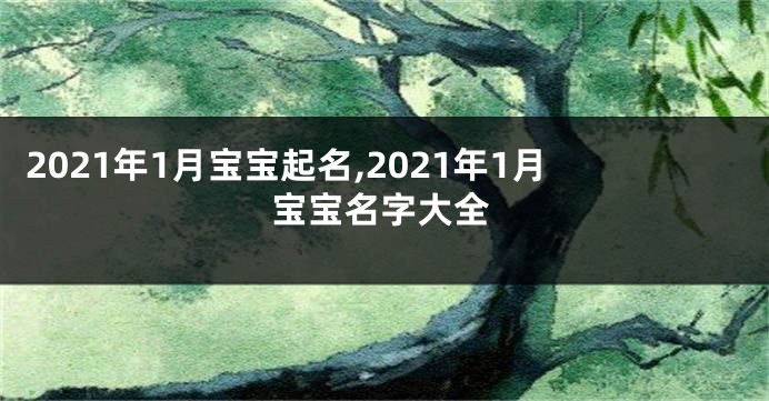 2021年1月宝宝起名,2021年1月宝宝名字大全