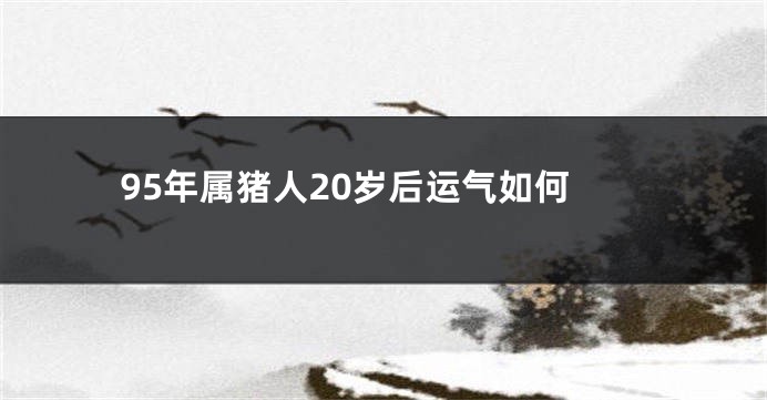 95年属猪人20岁后运气如何