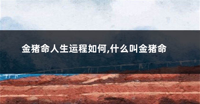 金猪命人生运程如何,什么叫金猪命
