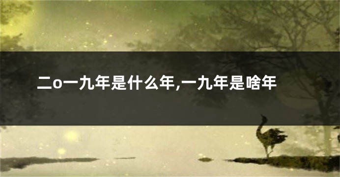 二o一九年是什么年,一九年是啥年