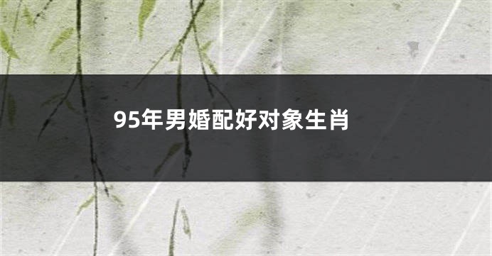 95年男婚配好对象生肖