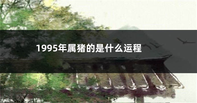 1995年属猪的是什么运程