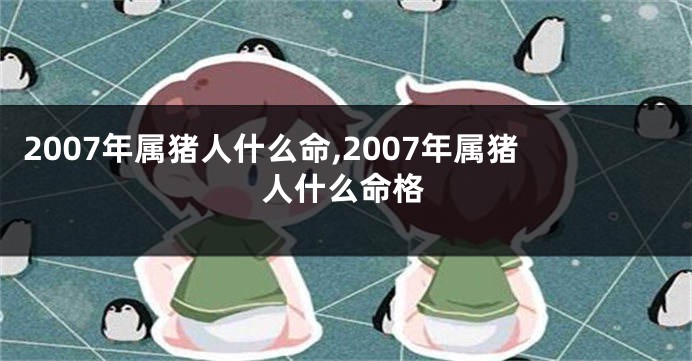 2007年属猪人什么命,2007年属猪人什么命格