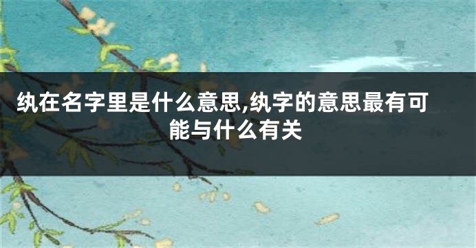 纨在名字里是什么意思,纨字的意思最有可能与什么有关