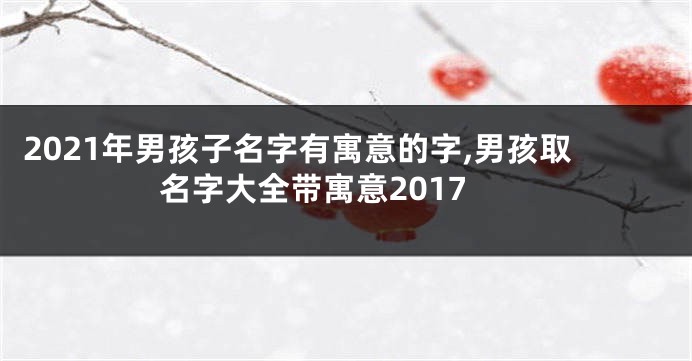 2021年男孩子名字有寓意的字,男孩取名字大全带寓意2017