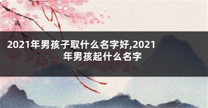 2021年男孩子取什么名字好,2021年男孩起什么名字