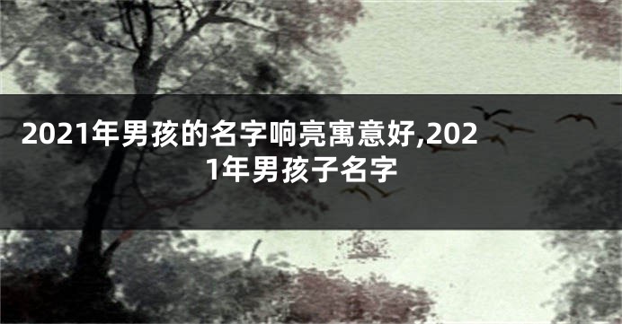 2021年男孩的名字响亮寓意好,2021年男孩子名字
