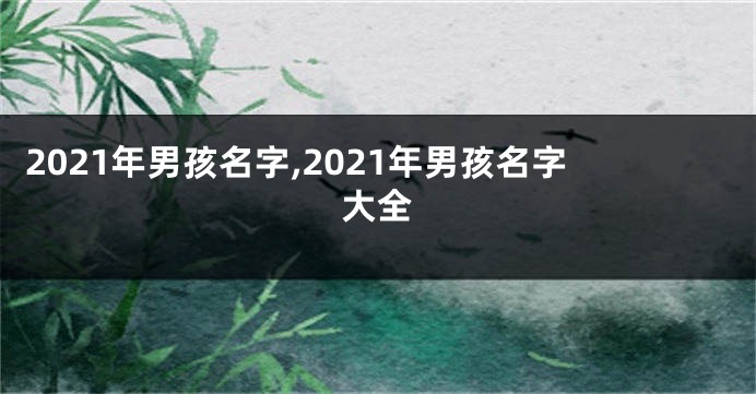 2021年男孩名字,2021年男孩名字大全