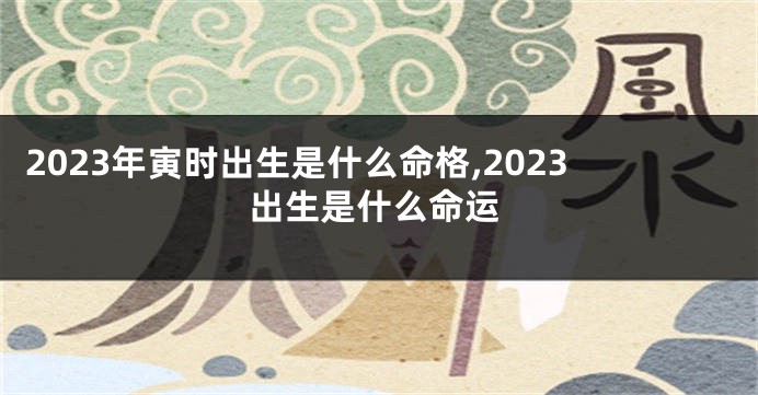 2023年寅时出生是什么命格,2023出生是什么命运
