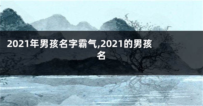 2021年男孩名字霸气,2021的男孩名