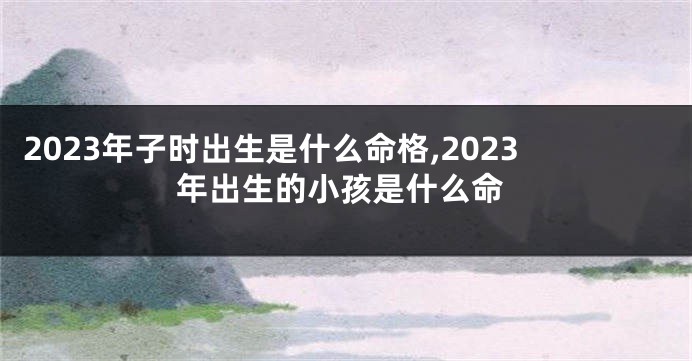 2023年子时出生是什么命格,2023年出生的小孩是什么命