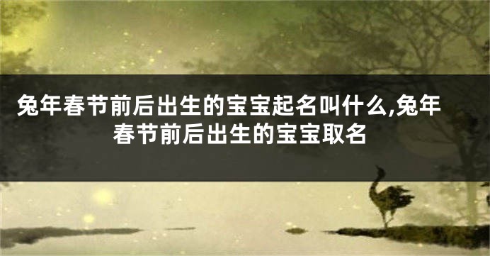 兔年春节前后出生的宝宝起名叫什么,兔年春节前后出生的宝宝取名