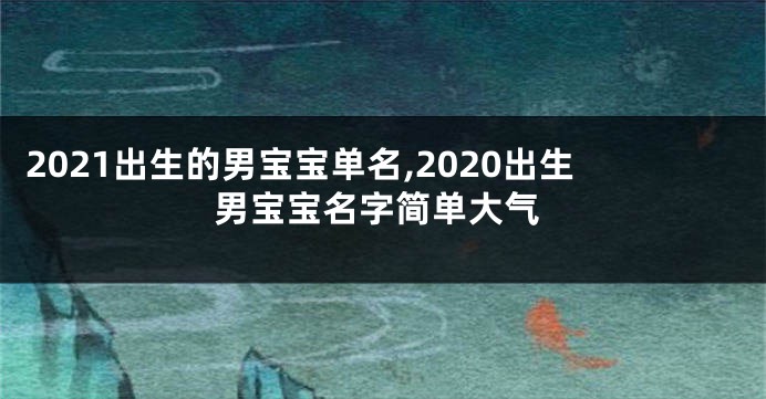 2021出生的男宝宝单名,2020出生男宝宝名字简单大气