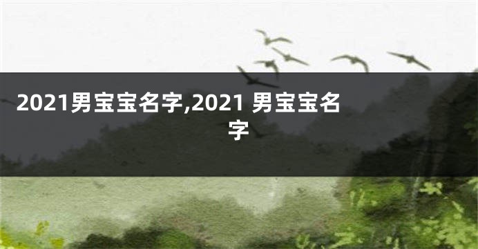 2021男宝宝名字,2021 男宝宝名字