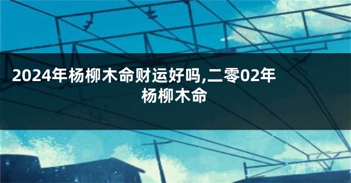 2024年杨柳木命财运好吗,二零02年杨柳木命