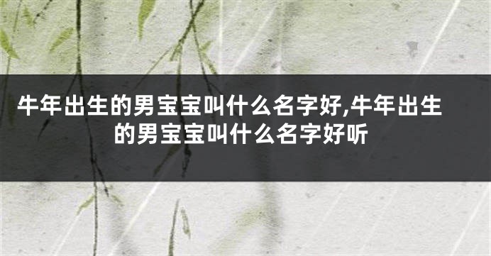牛年出生的男宝宝叫什么名字好,牛年出生的男宝宝叫什么名字好听