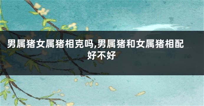 男属猪女属猪相克吗,男属猪和女属猪相配好不好