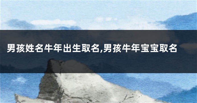 男孩姓名牛年出生取名,男孩牛年宝宝取名