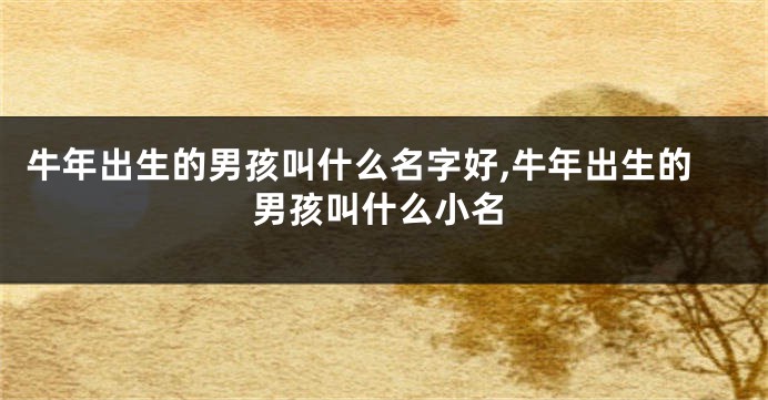 牛年出生的男孩叫什么名字好,牛年出生的男孩叫什么小名
