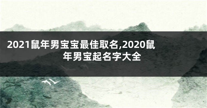 2021鼠年男宝宝最佳取名,2020鼠年男宝起名字大全