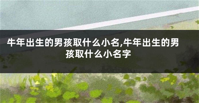 牛年出生的男孩取什么小名,牛年出生的男孩取什么小名字
