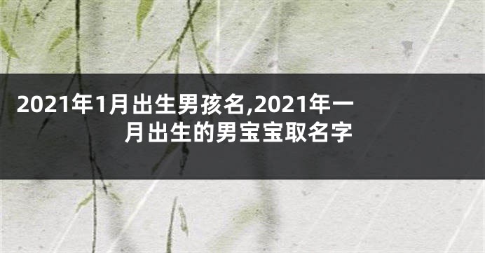 2021年1月出生男孩名,2021年一月出生的男宝宝取名字