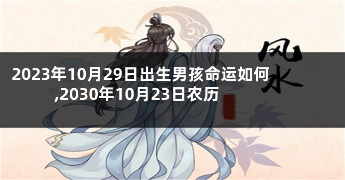 2023年10月29日出生男孩命运如何,2030年10月23日农历
