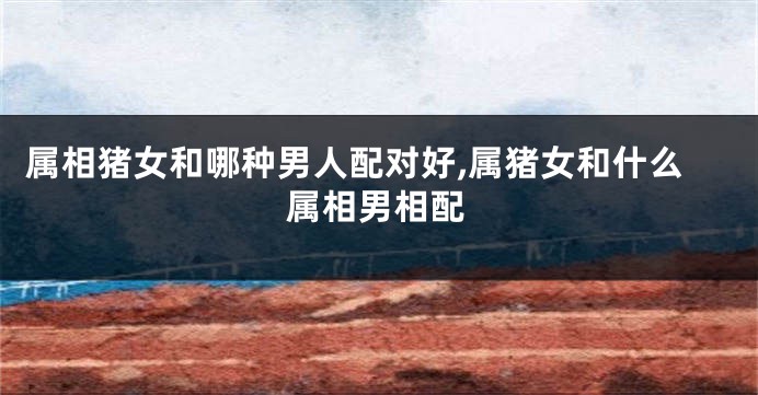 属相猪女和哪种男人配对好,属猪女和什么属相男相配
