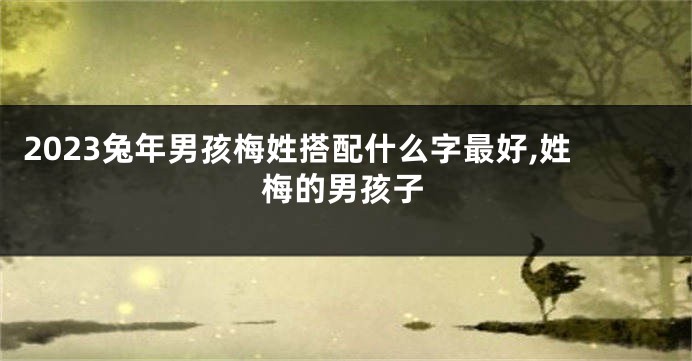 2023兔年男孩梅姓搭配什么字最好,姓梅的男孩子