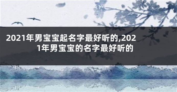 2021年男宝宝起名字最好听的,2021年男宝宝的名字最好听的