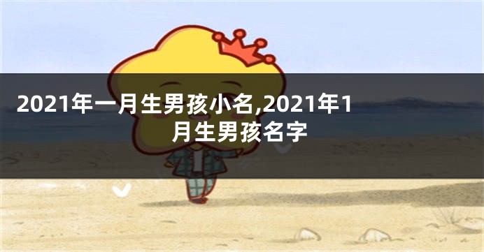 2021年一月生男孩小名,2021年1月生男孩名字