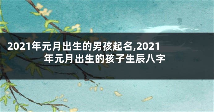 2021年元月出生的男孩起名,2021年元月出生的孩子生辰八字