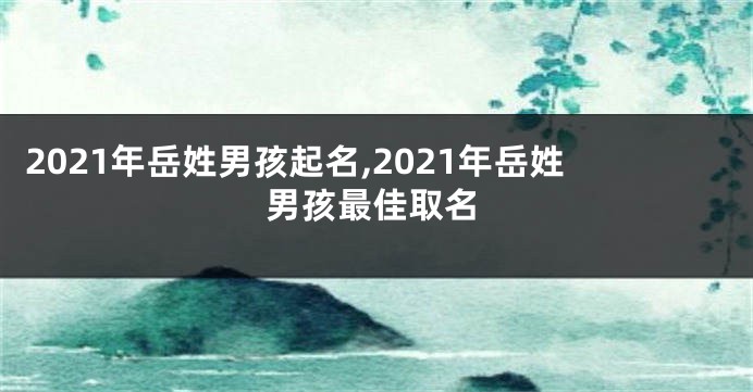 2021年岳姓男孩起名,2021年岳姓男孩最佳取名