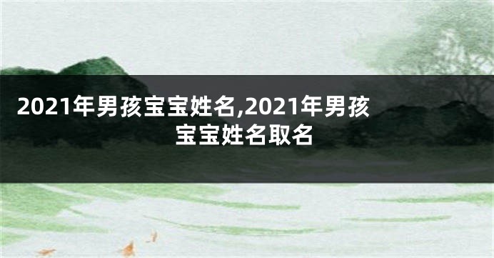 2021年男孩宝宝姓名,2021年男孩宝宝姓名取名