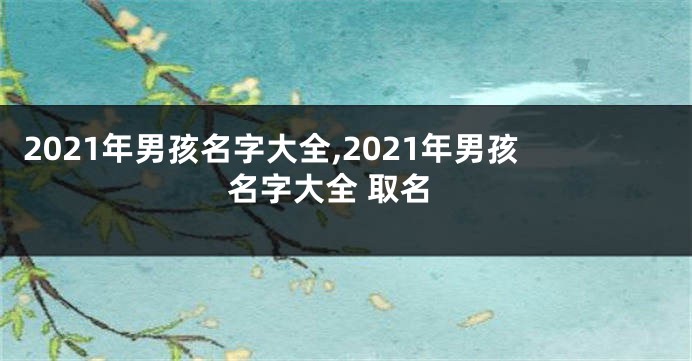 2021年男孩名字大全,2021年男孩名字大全 取名
