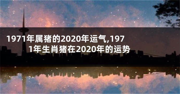 1971年属猪的2020年运气,1971年生肖猪在2020年的运势