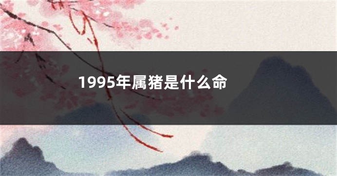 1995年属猪是什么命