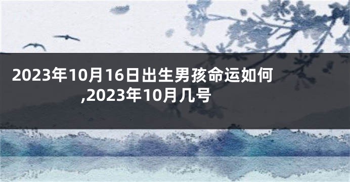 2023年10月16日出生男孩命运如何,2023年10月几号