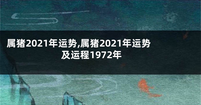 属猪2021年运势,属猪2021年运势及运程1972年